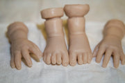 Newborn 1/4 limb set
